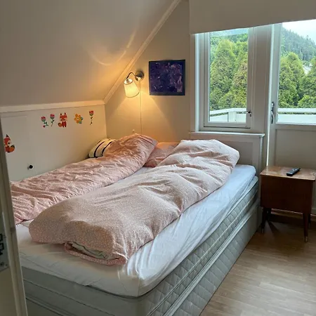 Entire With Pool And Garden * Alesund